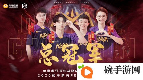 PEL决赛：NV-XQF勇夺冠军！虎牙战队包揽前三！