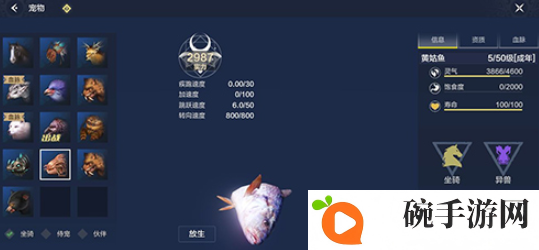 妄想山海新手坐骑怎么选择 妄想山海宠物坐骑图鉴大全