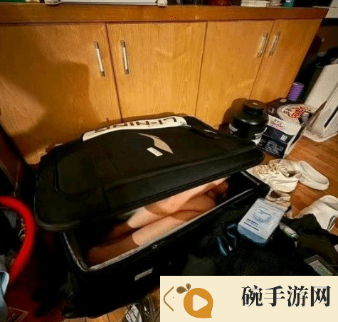 球员将女友藏行李箱带宿舍通宵补课引热议官方回应
