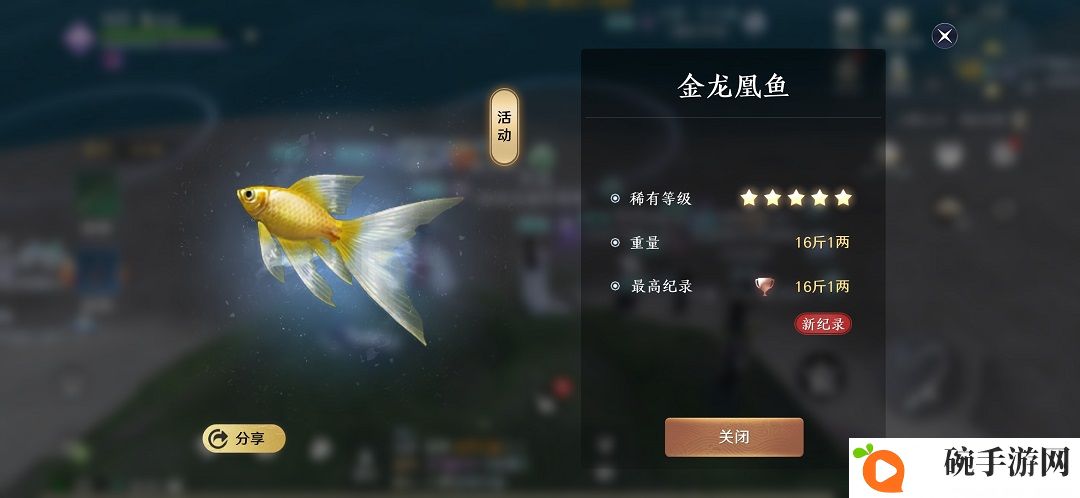 天涯明月刀手游钓鱼大赛攻略大全 钓鱼大赛奖励及玩法介绍