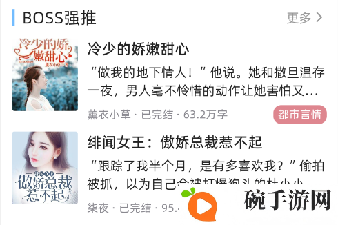 连情小说