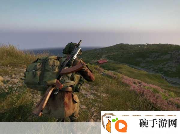 全面解析武装突袭
