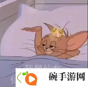 我是仙女仙女不需要爱情表情包
