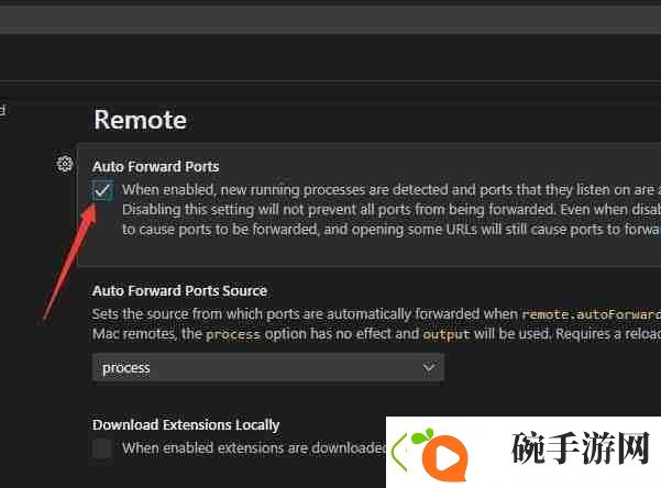 VSCode怎么开启自动转发端口