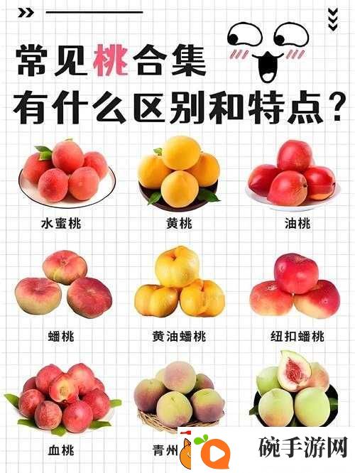 水蜜桃与水蜜桃V2的区别与选择指南