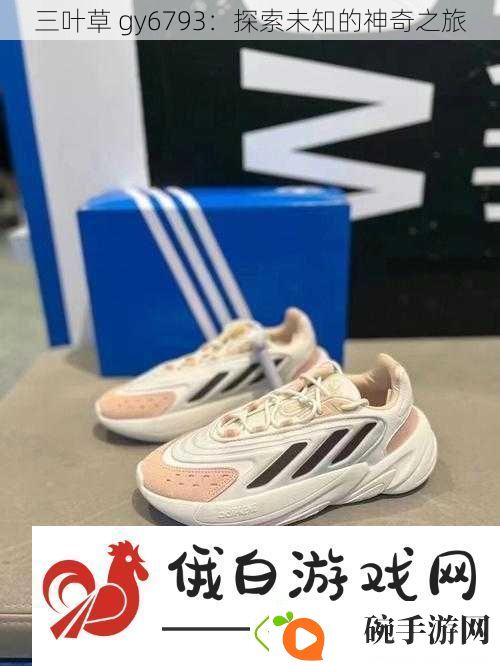 三叶草