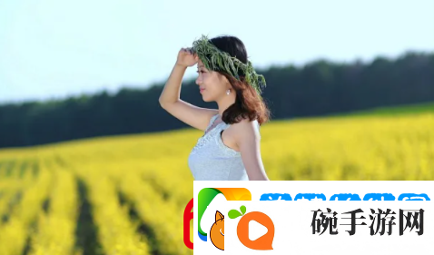 美母极致绣感450字左右