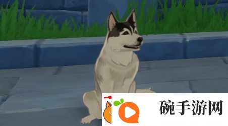 原神狗的作用介绍