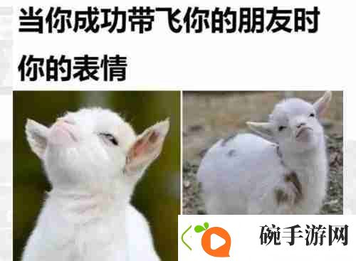 当你成功带飞你的朋友时表情包