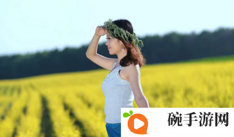 续父开了续女包高清：优缺点解析，让我更了解选择