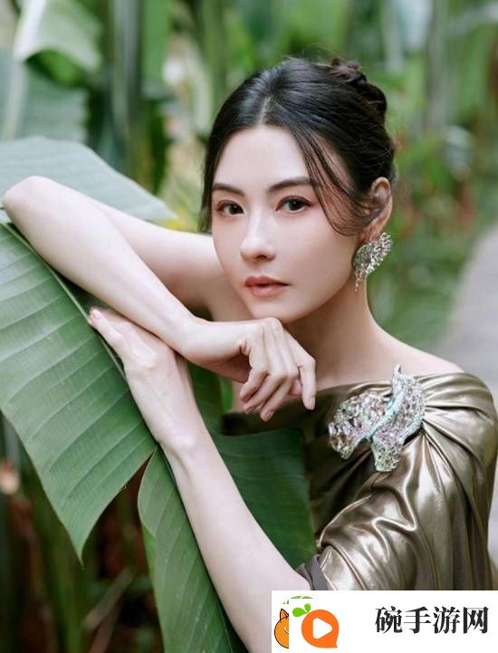 张柏芝最新**