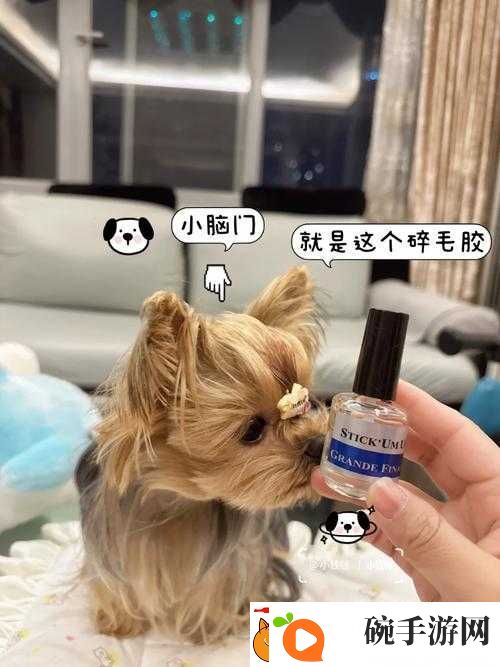 人狗胶配方大全