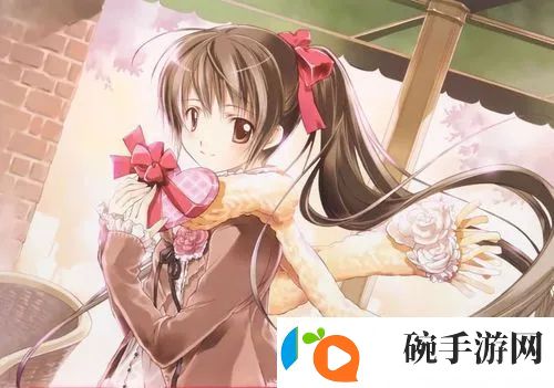 优质jing液灌溉系统：提升农业效率与可持续发展的利器
