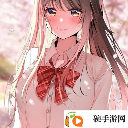 经典WWW手机视频
