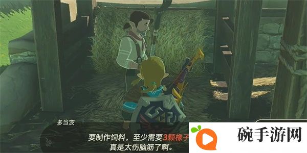 《塞尔达王国之泪》讲究的男人多当茨攻略