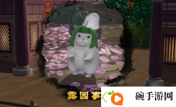 剑网3露园事宠物奇遇怎么做神秘装备制作指引