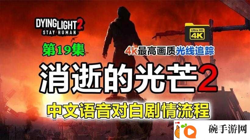 消逝的光芒如何开启并使用语音