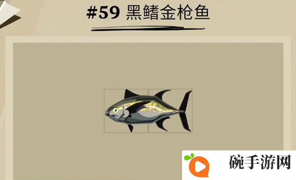《渔帆暗涌》黑鳍金枪鱼位置一览