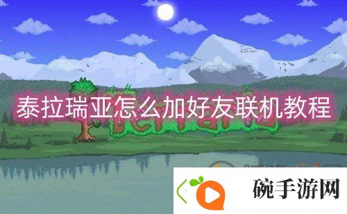 泰拉瑞亚怎么加好友联机
