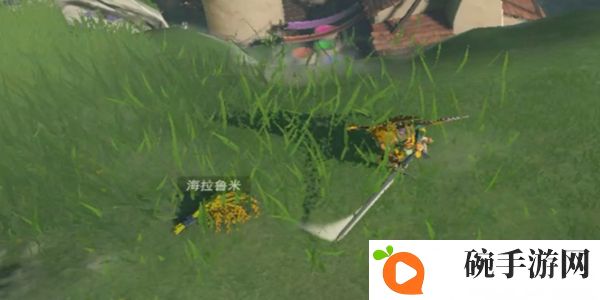 《塞尔达传说王国之泪》海拉鲁米在哪