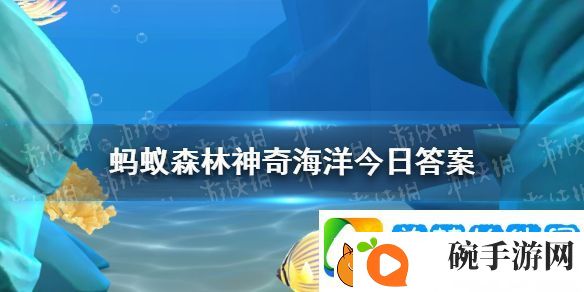 竖琴海豹之所以得名