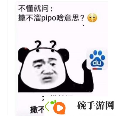 你个撒不溜pipo梗意思、含义、出处介绍