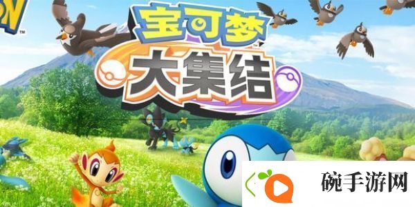 宝可梦大集结兑换码使用方法