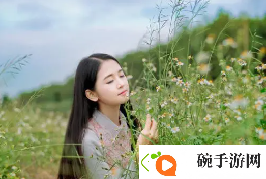 暴躁妹妹免费观看40集电视剧
