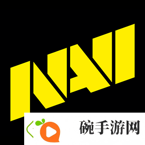 独联体骄傲！Spirit成第4支获得Major冠军的CIS队伍
