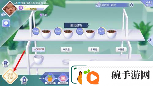 qq炫舞怎么插花