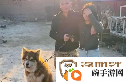 训狗一哥潘宏又出事