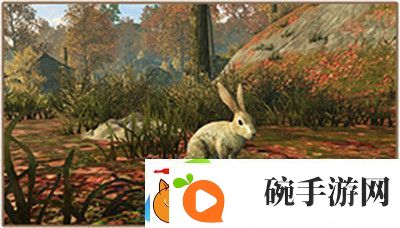 明日之后抓兔子怎么玩