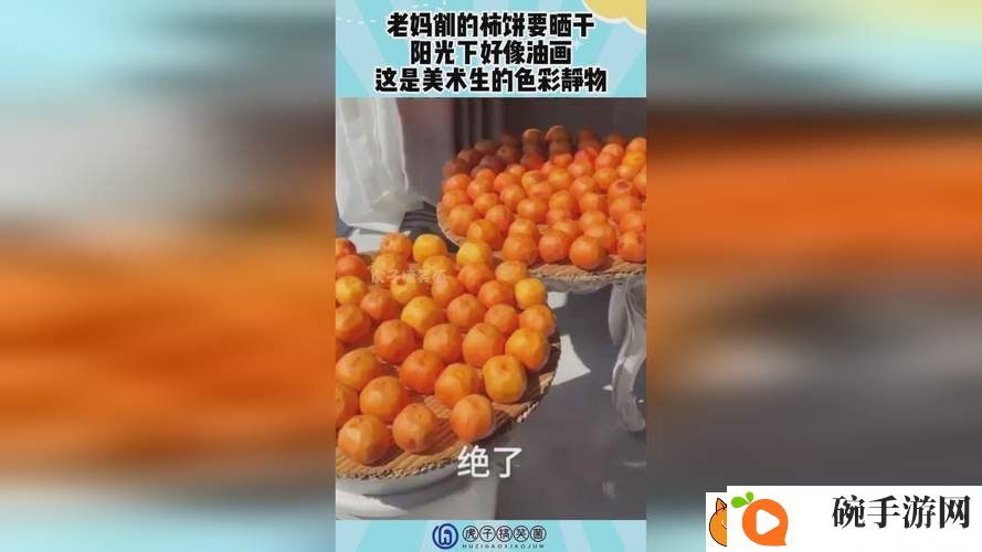 400多个成品视频