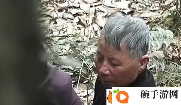 公园里的老年镖客视频人生