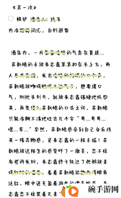 苏苏的公交车日记TXT
