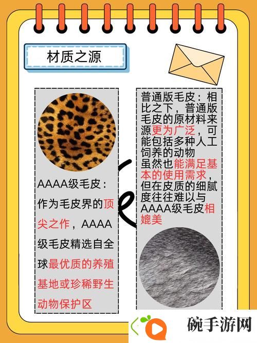 内容丰富AAAA级毛皮与AAAA的区别有哪些