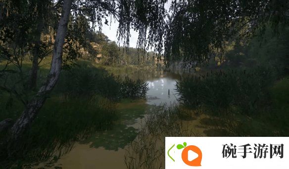数毛社点赞天国