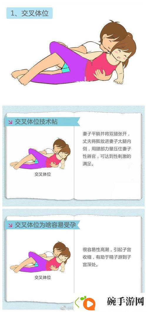 探秘“在床上的72种扦插方法”