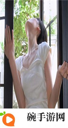 哪里有免费的网站推广
