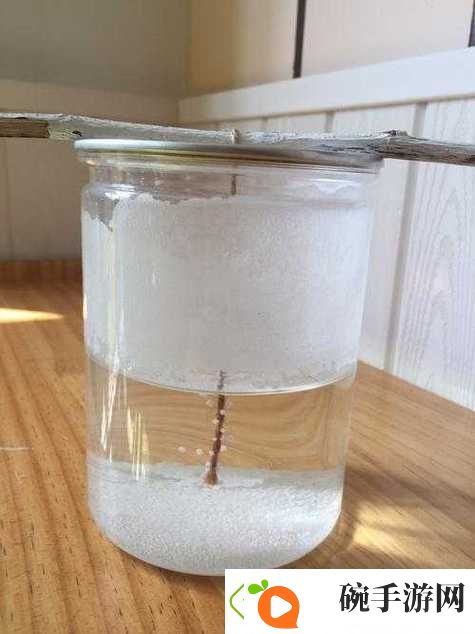 热爱生活的小烧货几天没扣都是水