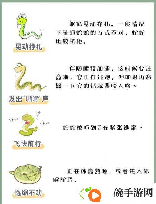 蛇蛇大作战爬行如蜗牛般缓慢