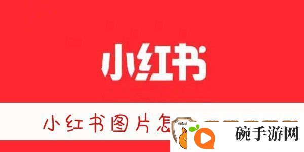 小红书图片无水印保存方法