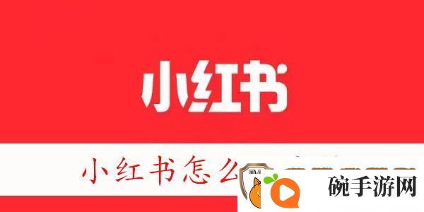 小红书怎么开店