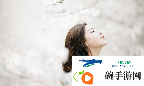 菠萝蜜在线观看免费观看电视