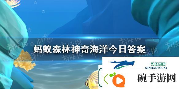 以下哪种蟹会养殖细菌