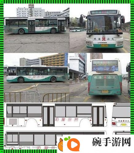 探索yingdan小镇公交车尺寸的奥秘与影响