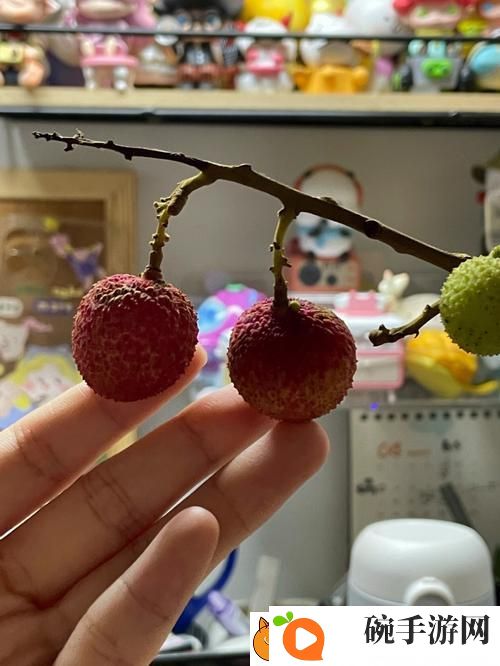 已经塞了八颗荔枝了窦寇儿