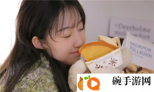 轮理电费2024价格走势揭示