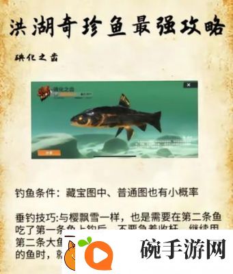 探索T3版本欢乐钓鱼大师全新地图鱼类大揭秘鱼类图鉴大全