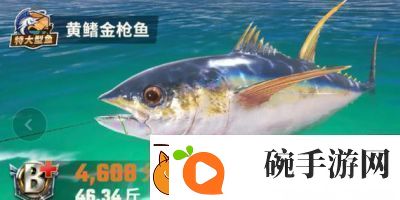 探索T3版本欢乐钓鱼大师全新地图鱼类大揭秘鱼类图鉴大全